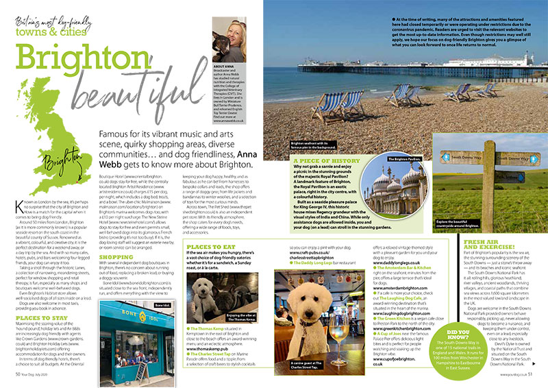 Read the review of Brighton with a dog in tow by Anna Webb