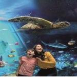 New Steine Hotel, Brighton